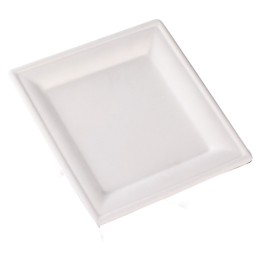 Plato compostable cuadrado caña 26x26 cm. (pq. 50 un.)
