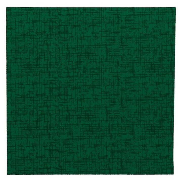 Servilleta p&p 38x38 cm.  2 h. verde oscuro (cj. 1200 serv.)