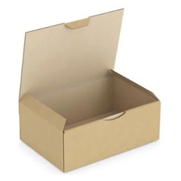 Caja take away t/pequeña 114x73x45 cm.  (pq. 25 un.)