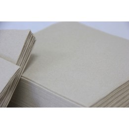 Servilleta ECO p&p 20x20 cm.  2 h. marró (cj. 3200 serv.)