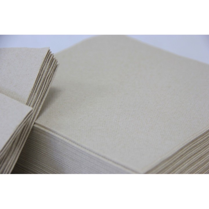 Servilleta ECO p&p 20x20 cm.  2 h. marró (cj. 3200 serv.)