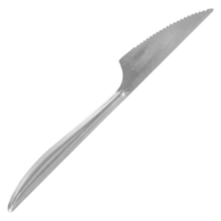 Cuchillos inox 18 cm.  plateado (cj. 100 un.)