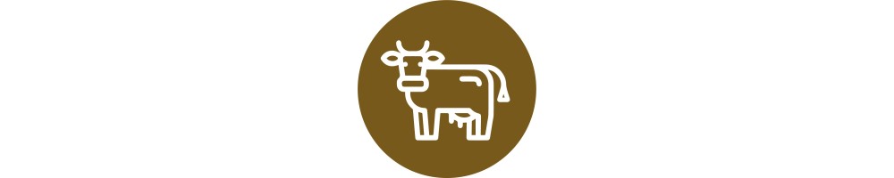 Productos para industria cárnica y agroalimentária