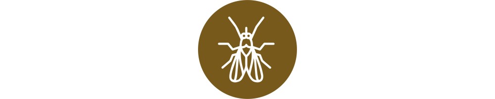 Atrapa insectos
